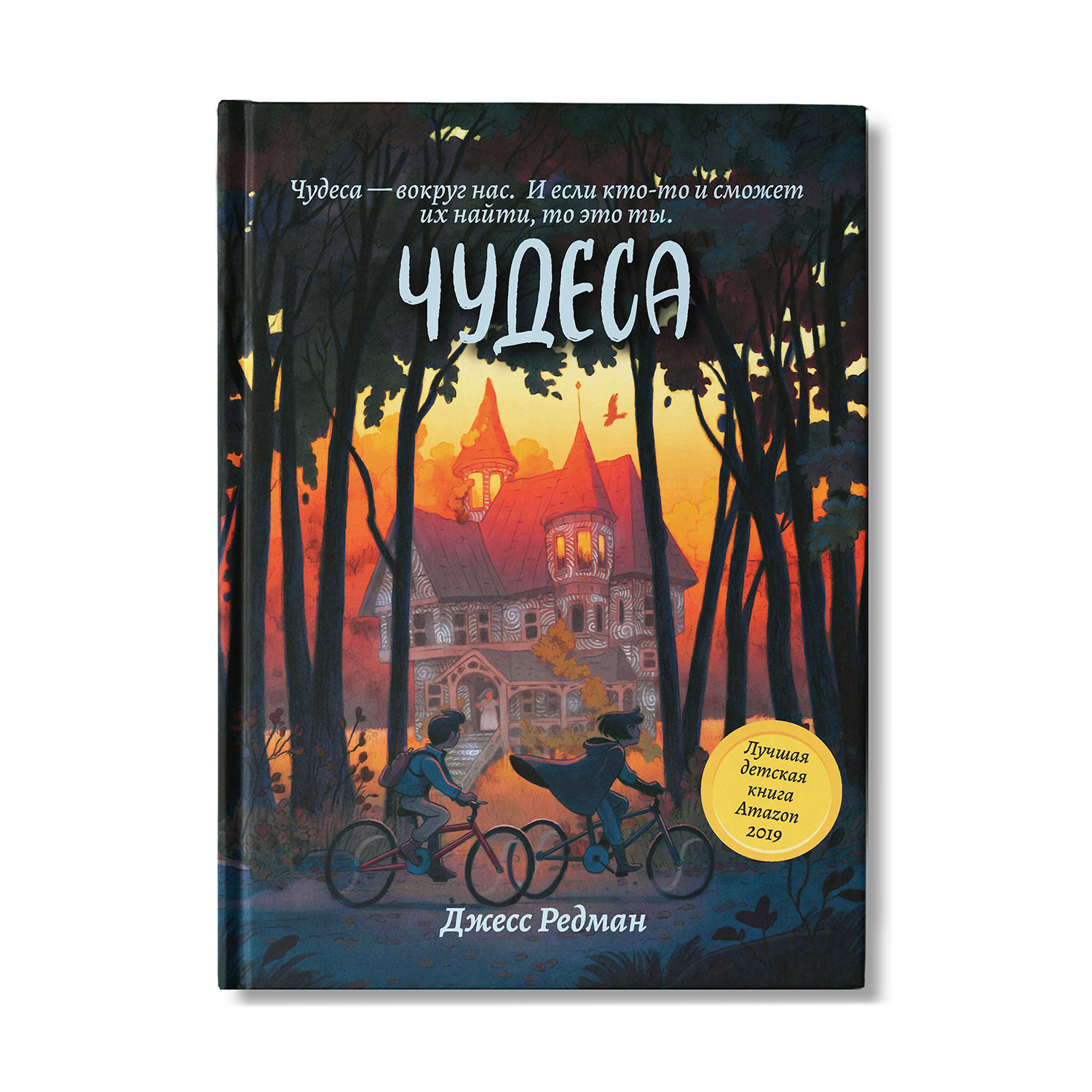 Книга Феникс Чудеса. Книга для подростков - фото 1