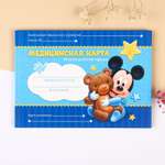 Визитница Disney
