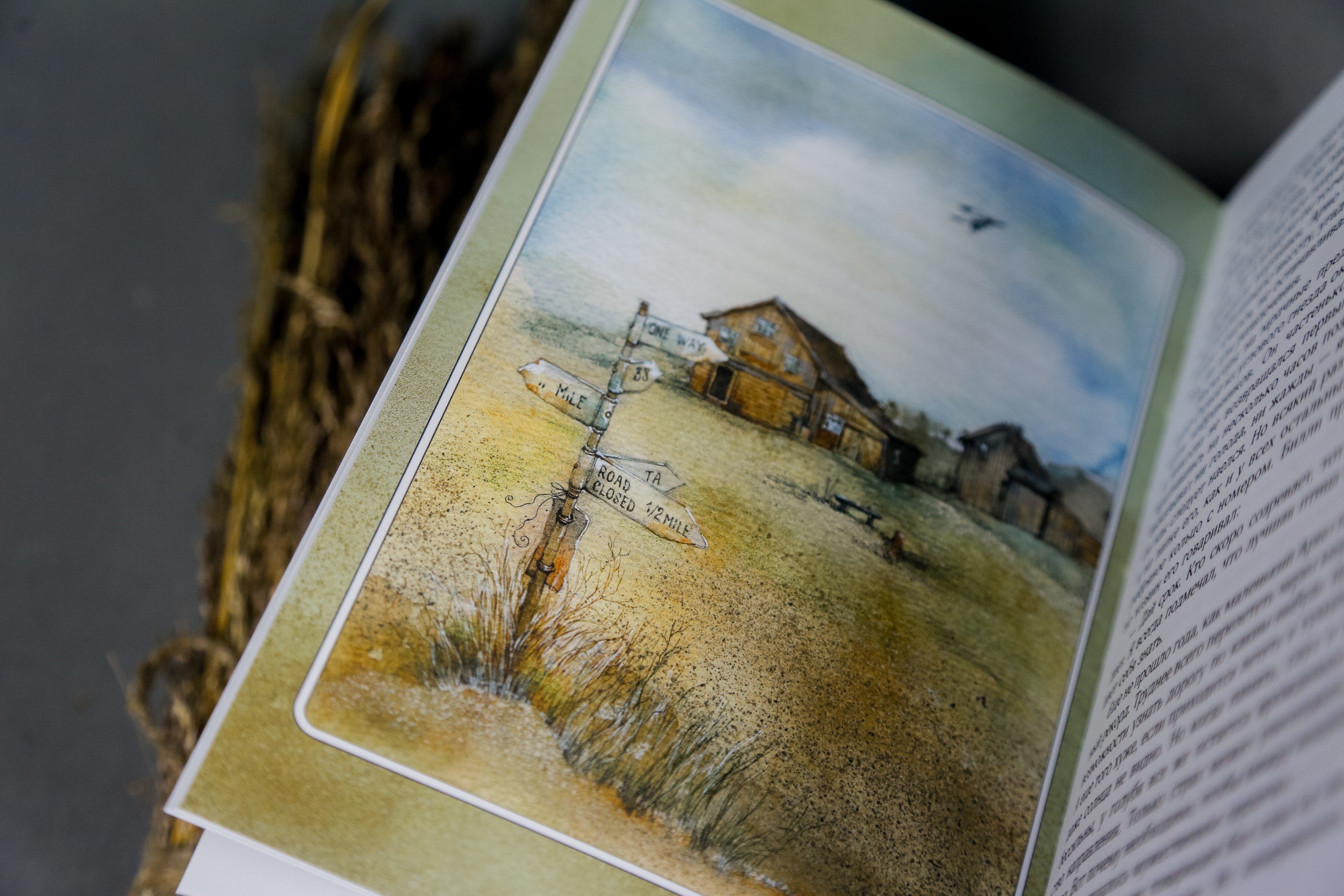 Книга Качели Королевская Аналостанка и другие рассказы - фото 9