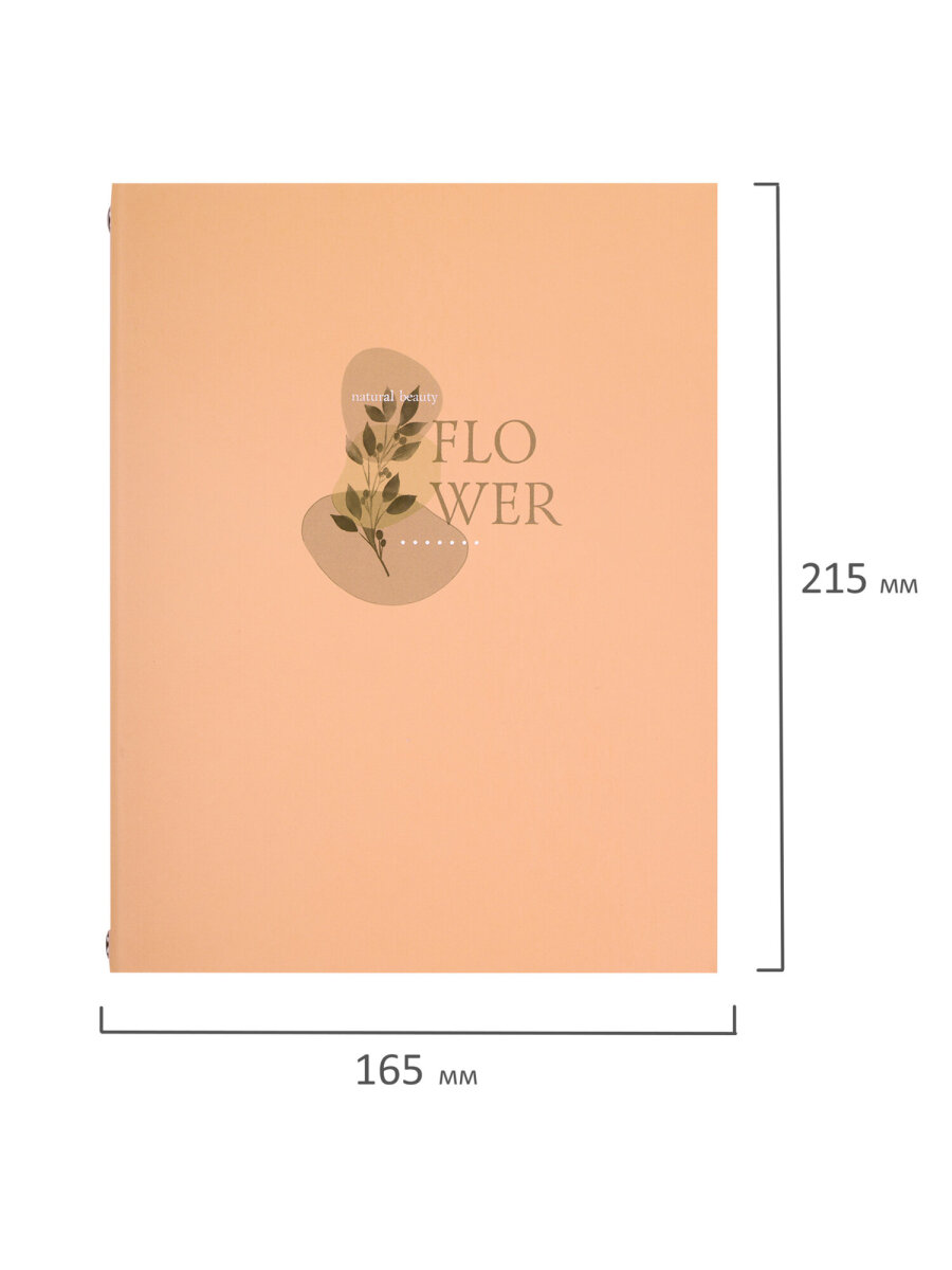 Тетрадь со сменным блоком Brauberg клетка 120 лист. - фото 5