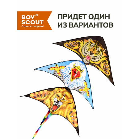 Воздушный змей BoyScout Воздушный змей