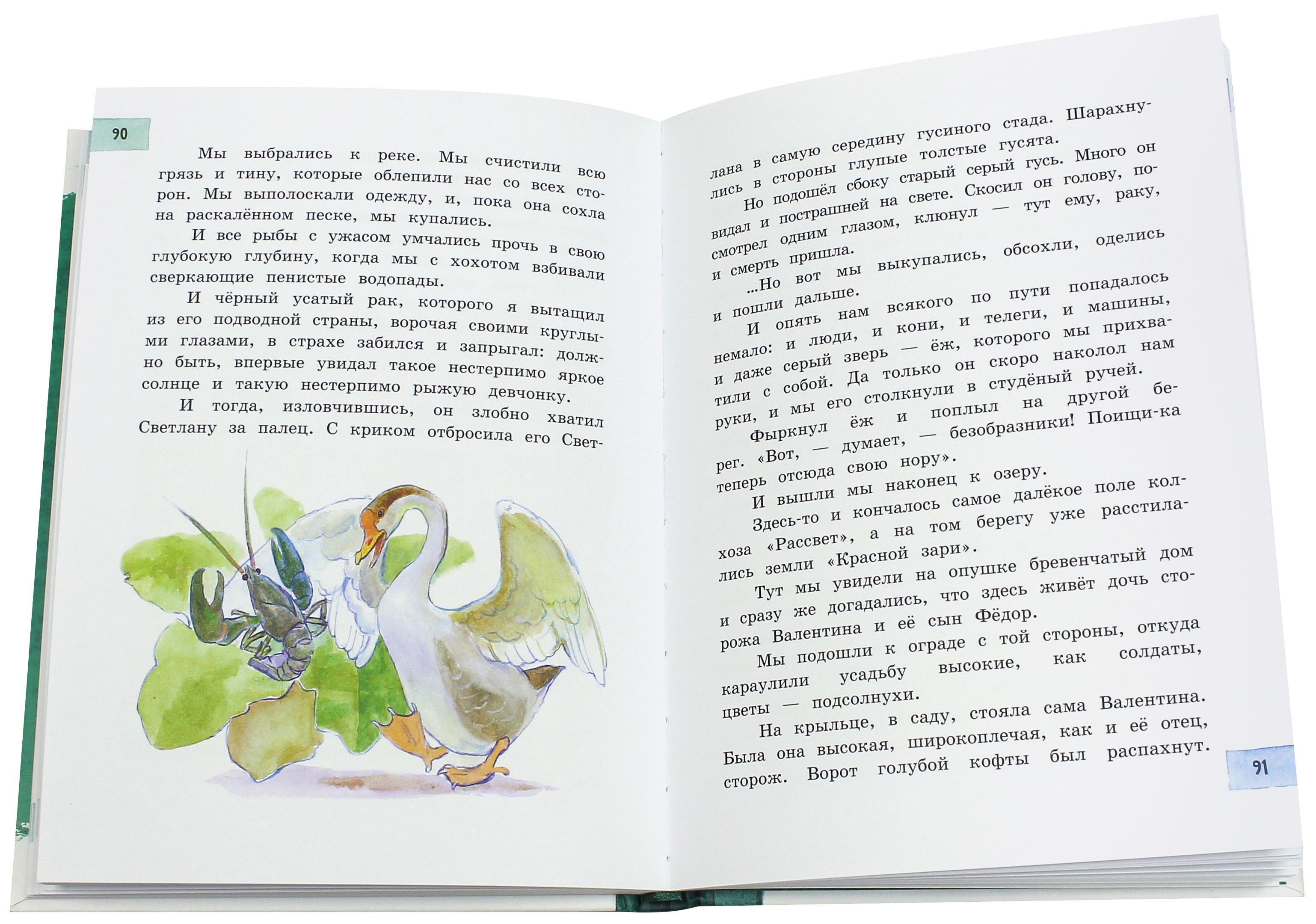Книга Лабиринт Чук и Гек - фото 2