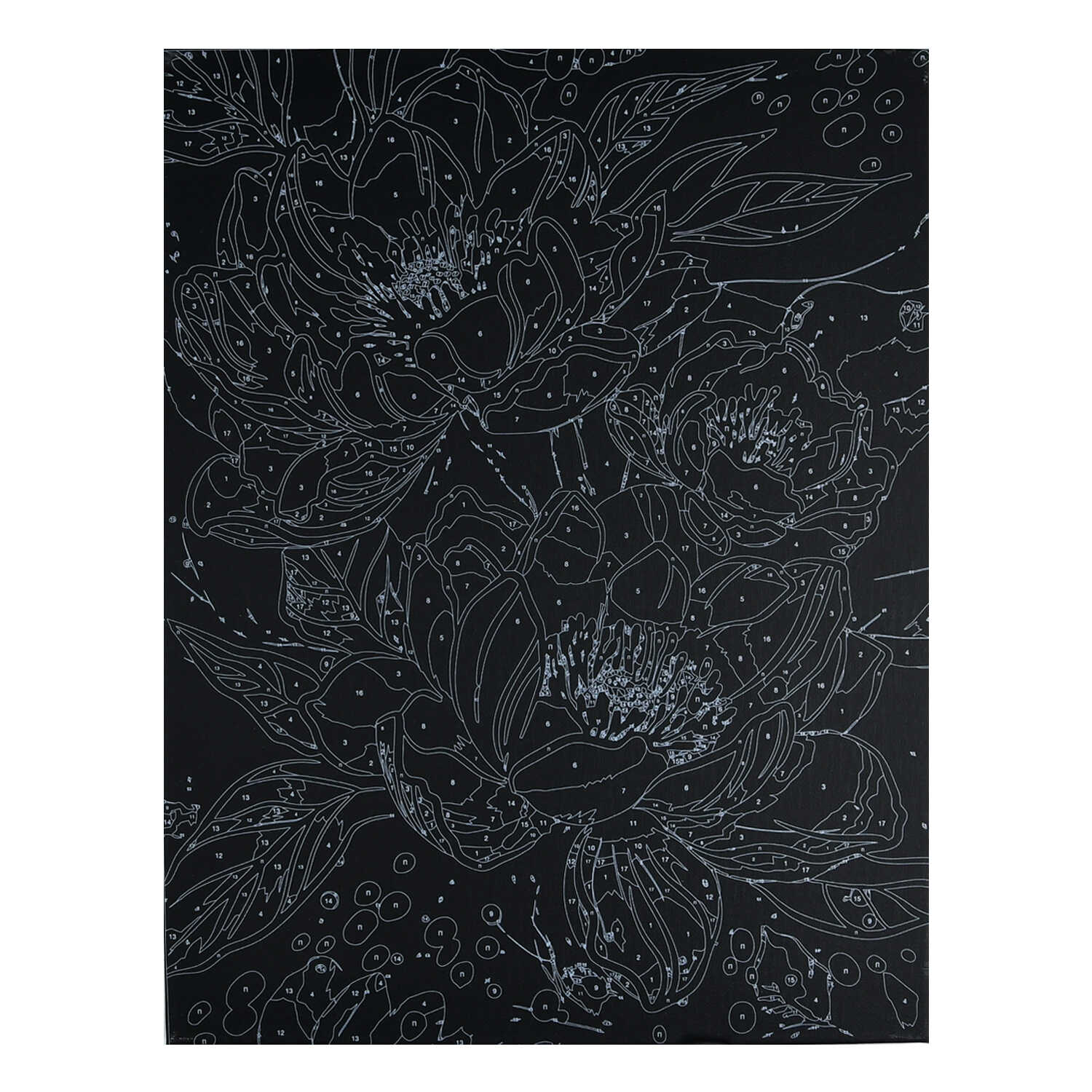 Картина по номерам Феникс + Лотосы - фото 3