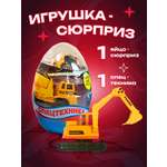 Экскаватор CENTRUM