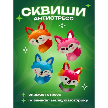 Сквиш CENTRUM