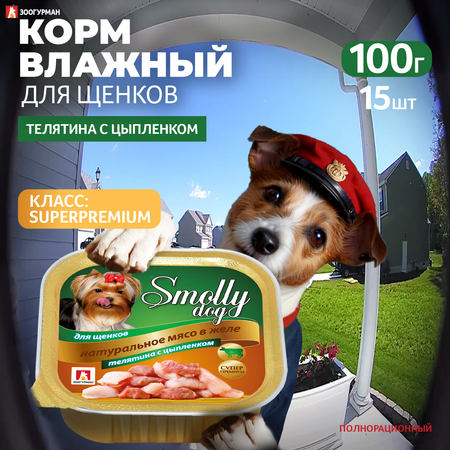 Корм влажный Зоогурман Smolly Dog Телятина с цыпленком для щенков 100 гр х 15шт