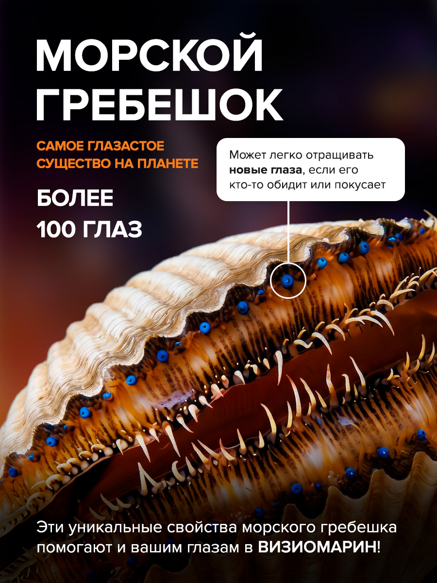 Визиомарин Доктор Море Комплексная поддержка зрения 60 капсул - фото 4
