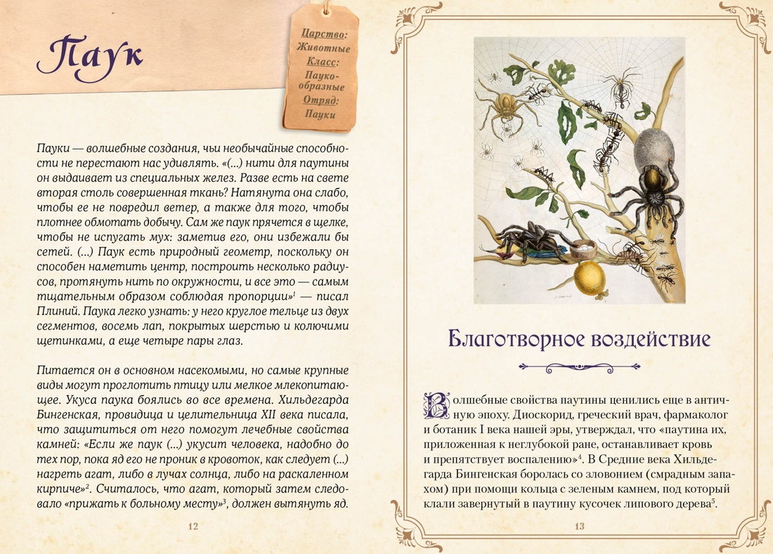 Сборный комплект в коробе из 3-х книг КОЛИБРИ Тайные знания магического Средневековья - фото 12