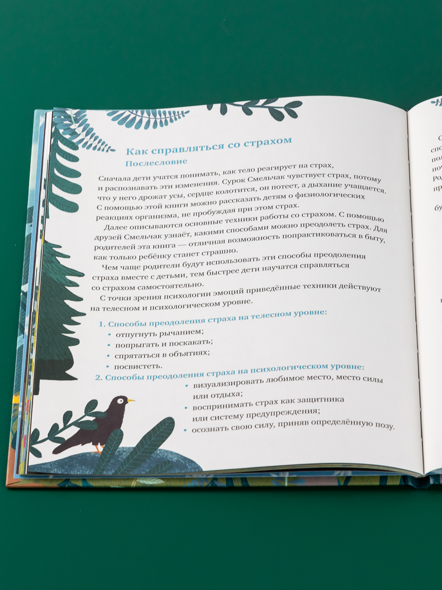 Книга Альпина. Дети Когда я боюсь - фото 7