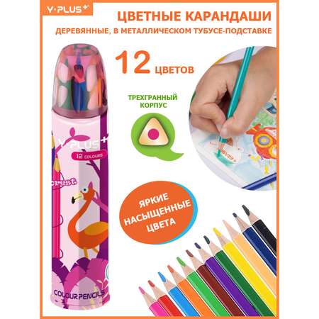 Карандаши цветные Y-plus 12 шт.