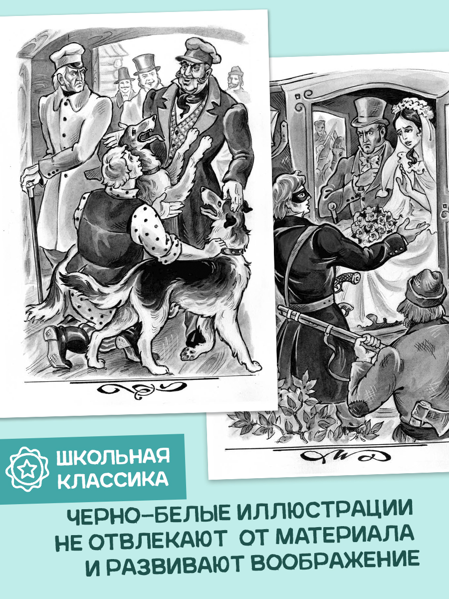 Книга Алтей «Дубровский» и «Евгений Онегин» набор 2 шт. - фото 4