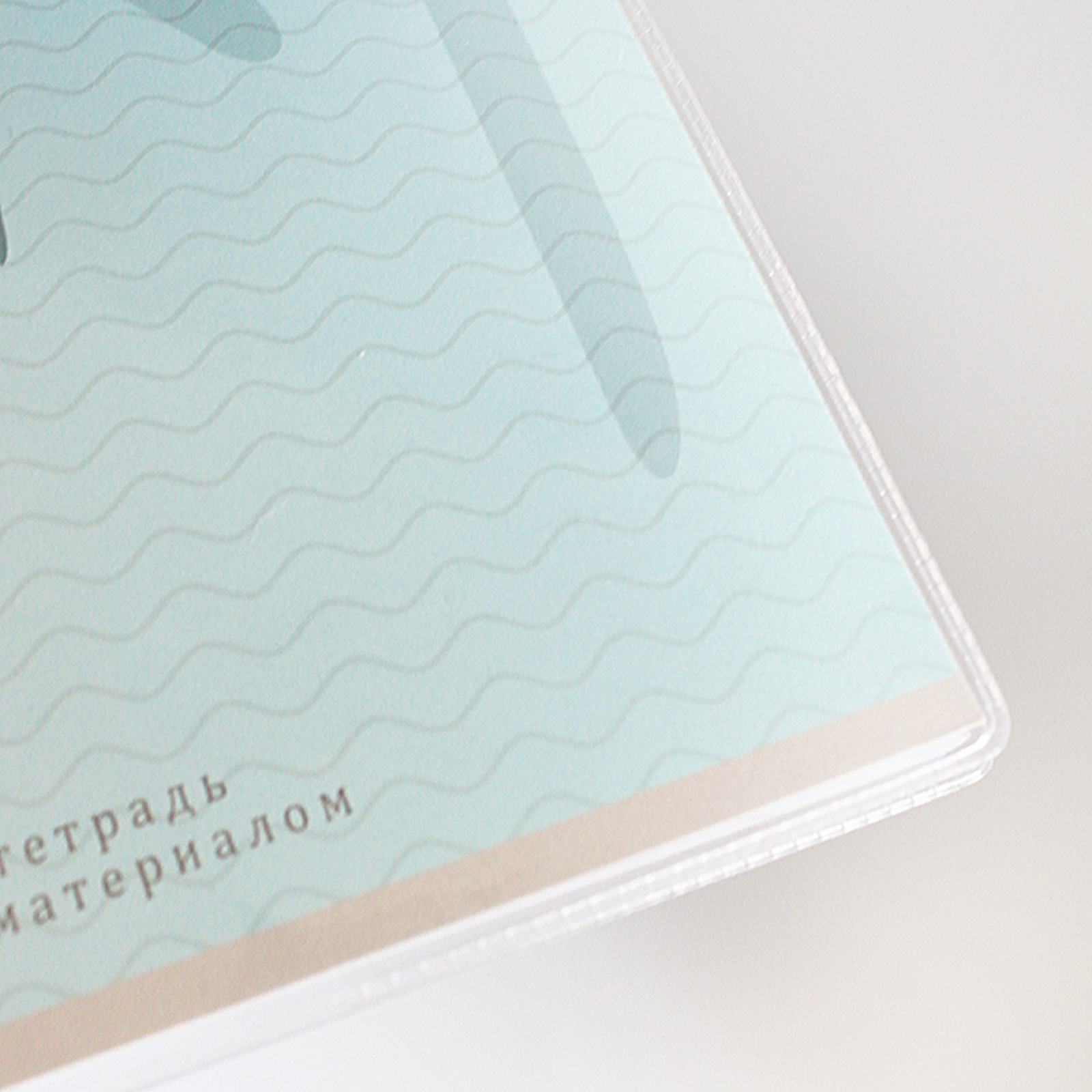 Обложка dpskanc 20 шт. - фото 3