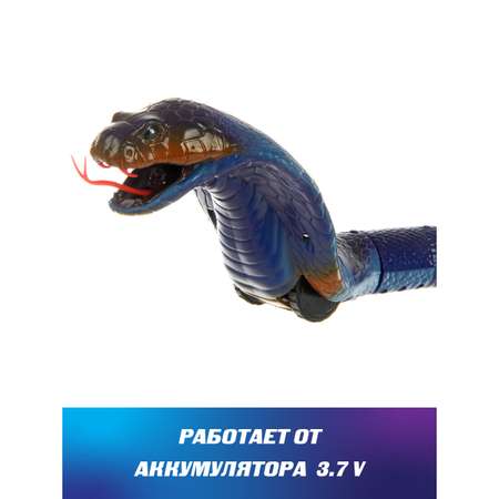 Змея РУ Veld Co Кобра
