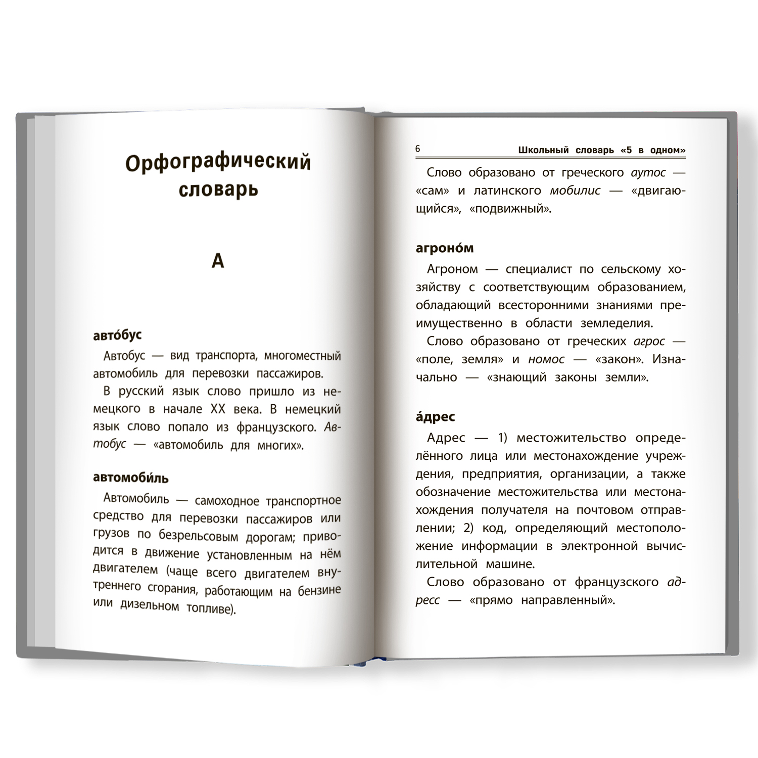 Книга Феникс Школьный словарь 5 в одном. С 1 по 4 класс - фото 2