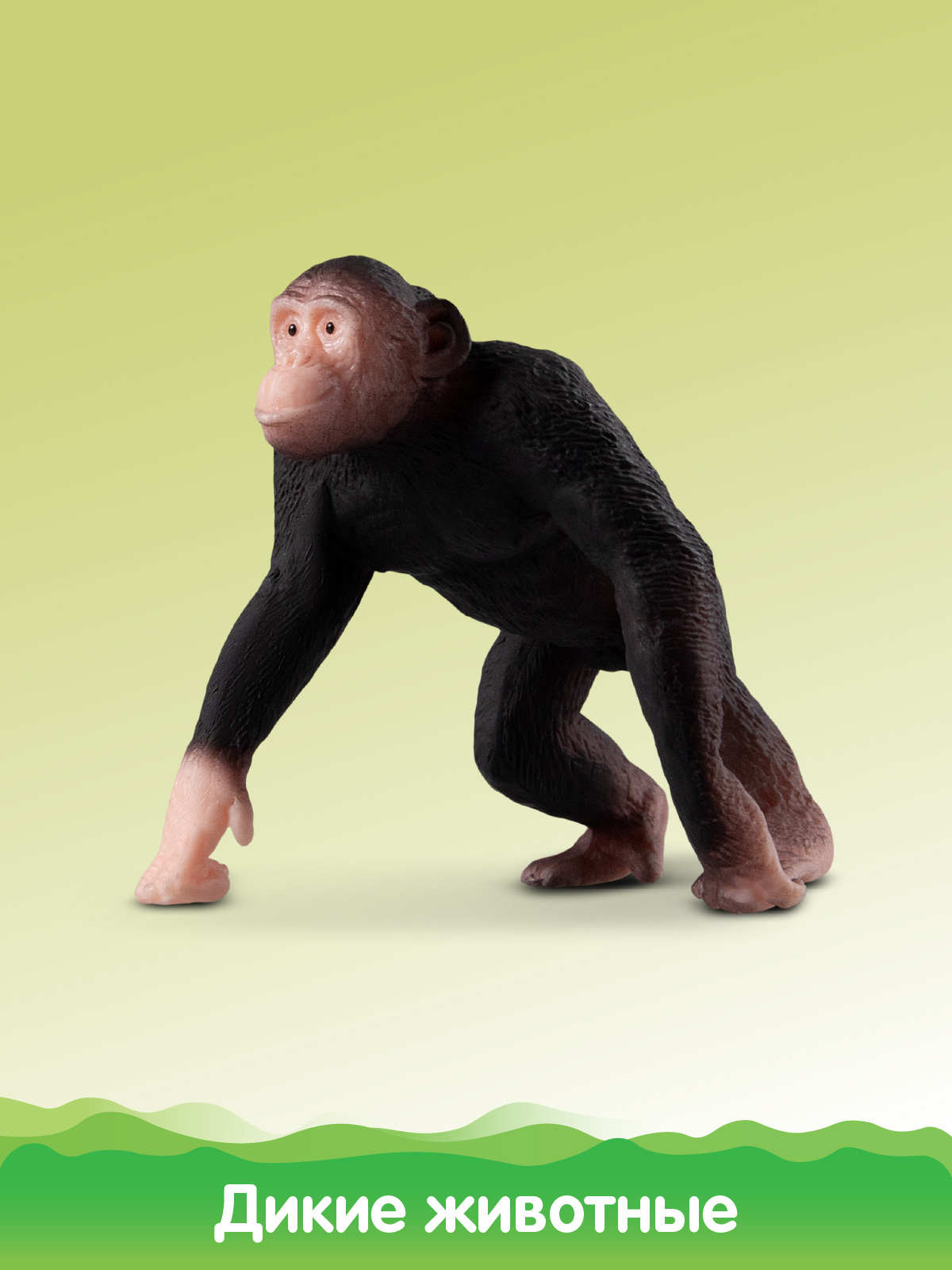 Игровой набор DARWIN Дикие животные Обезьяны 3шт - фото 5