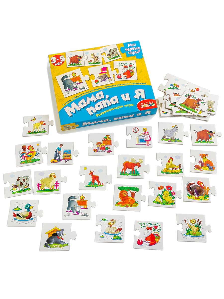 Настольная игра Дрофа-Медиа - фото 6