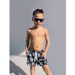 Шорты Capitania