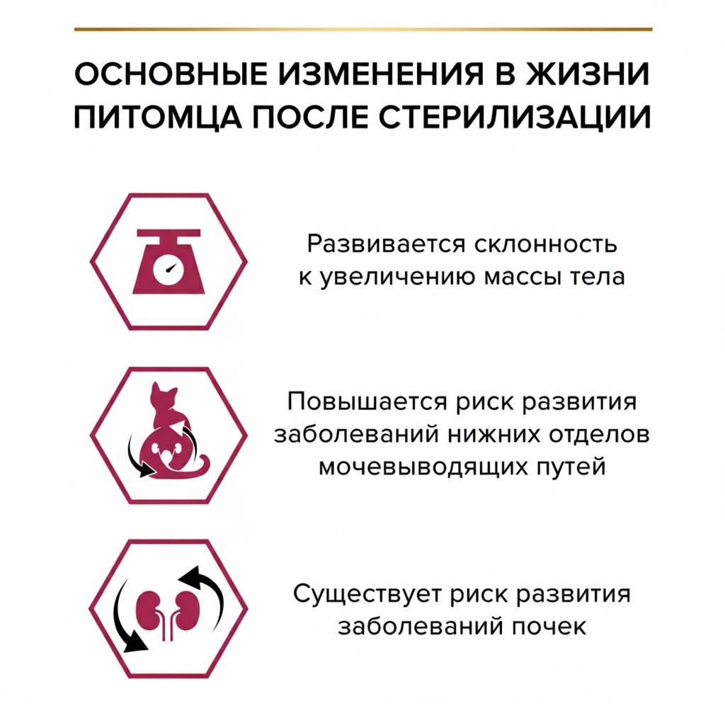 Корм сухой PRO PLAN OptiSavour Sterilised - фото 4