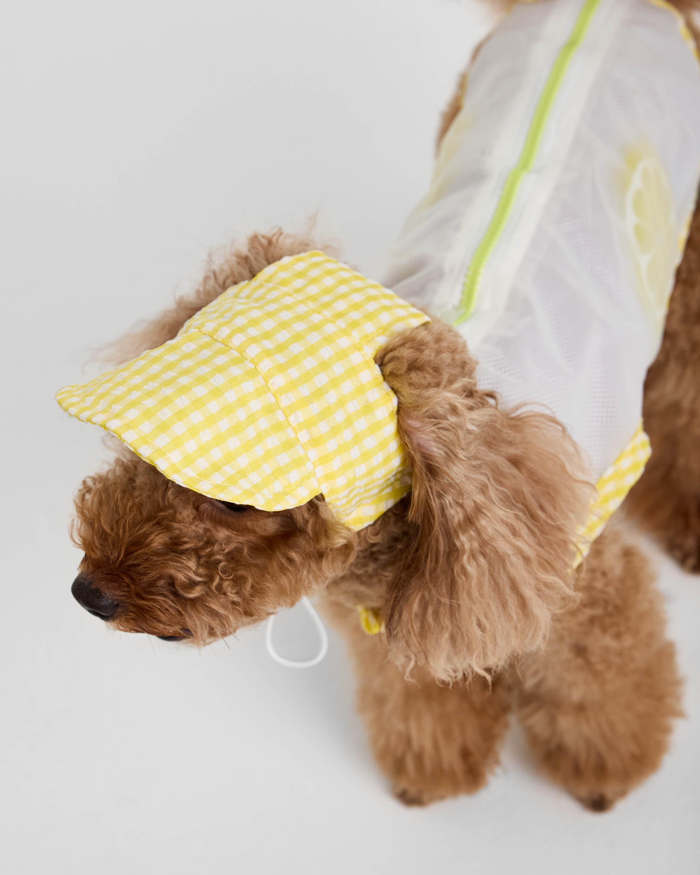 Костюм для собак и кошек Зоозавр - фото 5