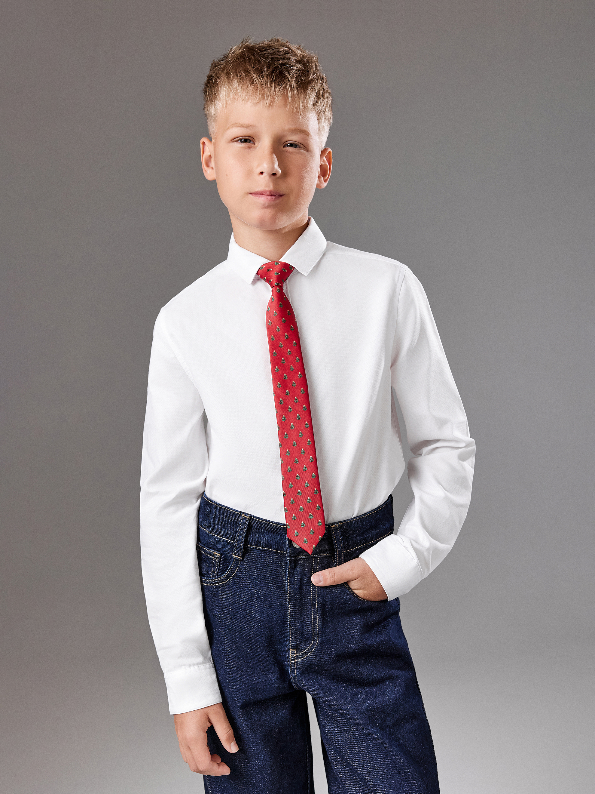 Галстук Acoola 20106460106_0093587 - фото 1