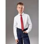 Галстук Acoola