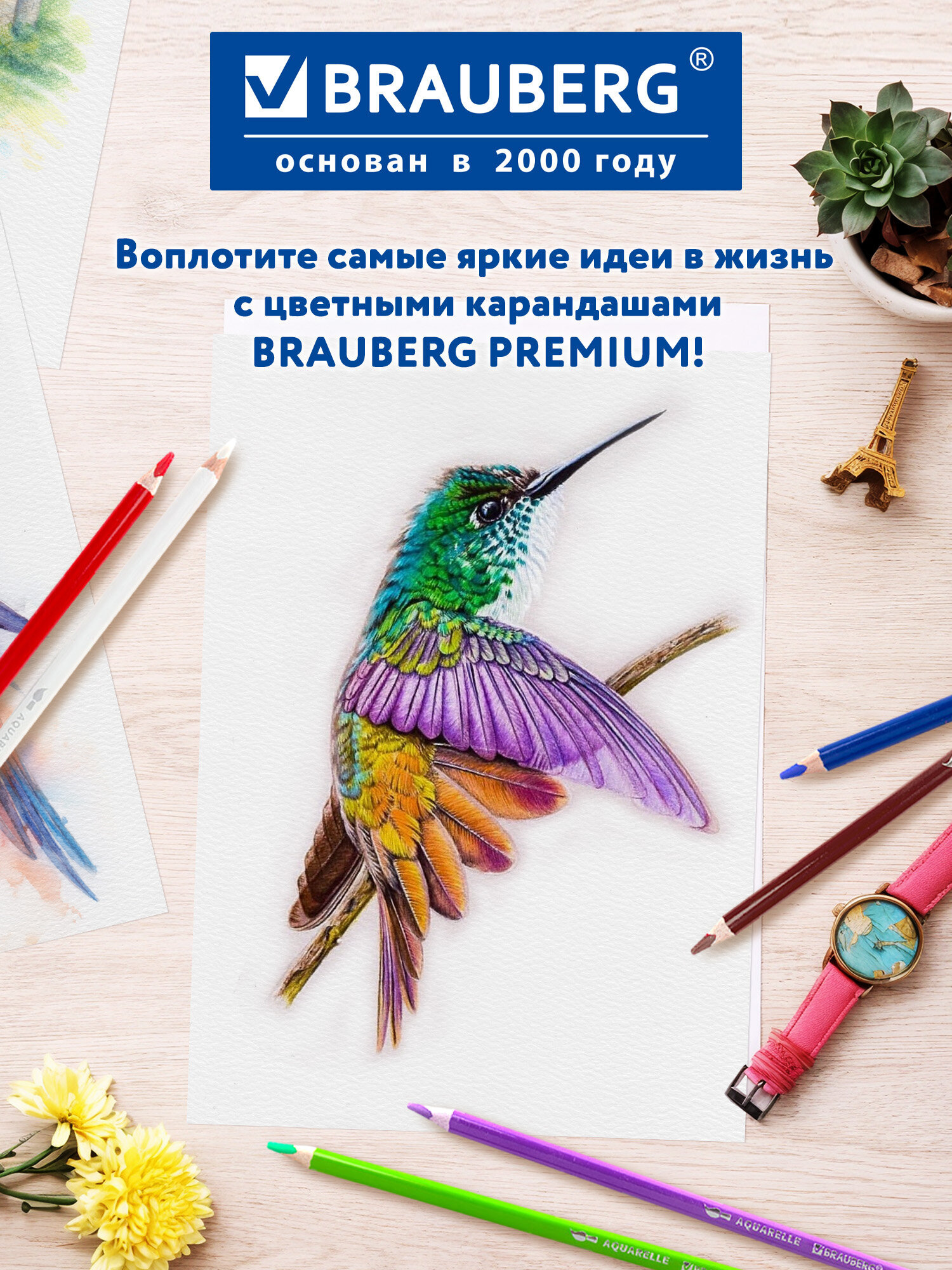 Карандаши акварельные Brauberg 36 шт. - фото 11