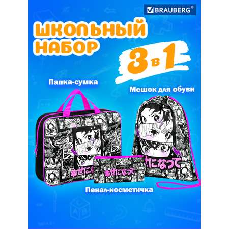 Набор школьника Brauberg 3 предм.