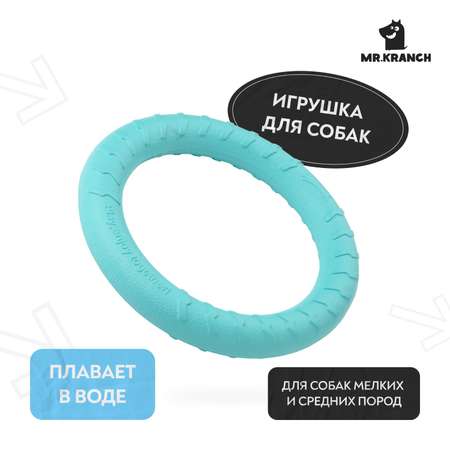 Игрушка для собак Mr.Kranch Кольцо диаметр 28см бирюзовая