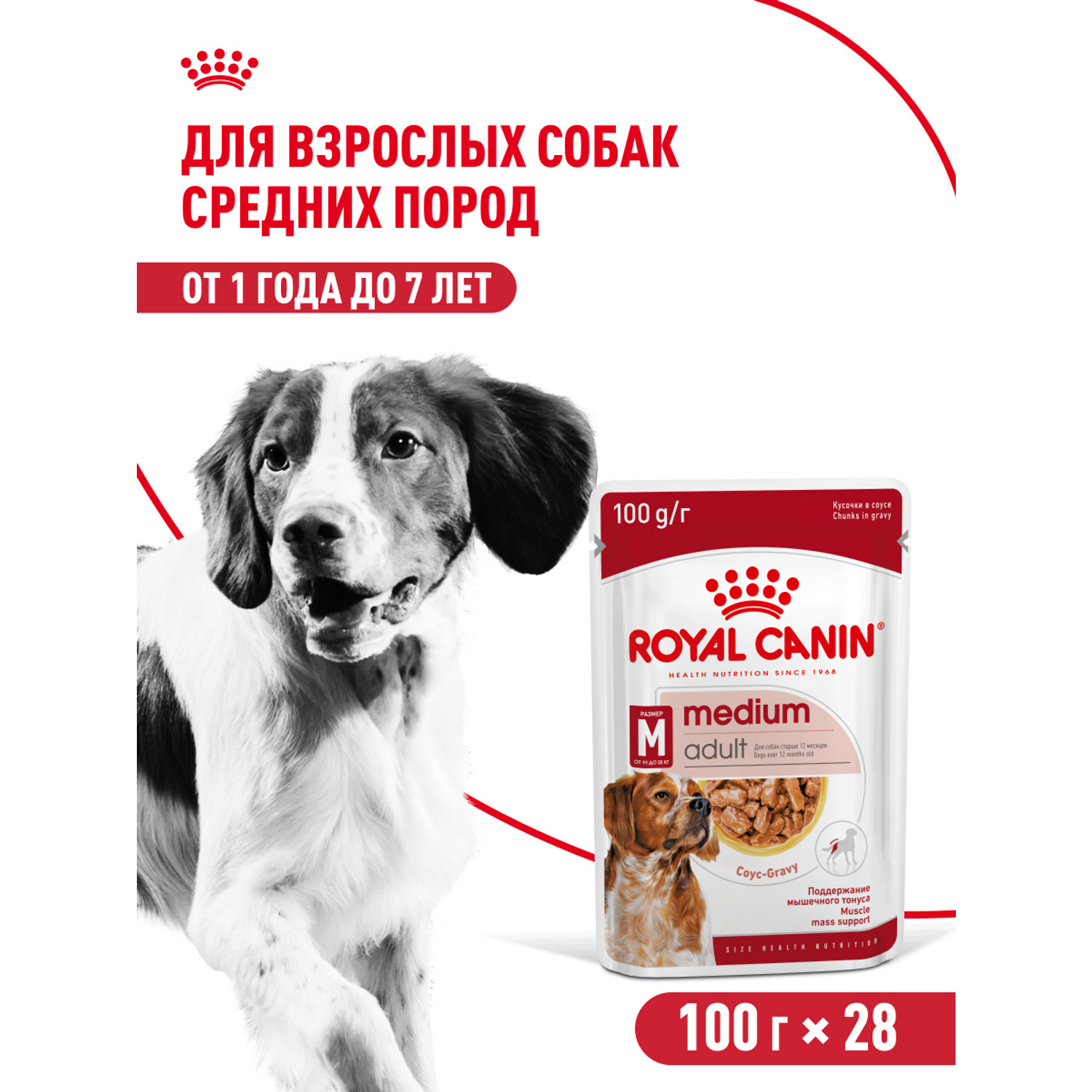 Корм для собак ROYAL CANIN Medium Adult консервированный полнорационный для взрослых собак средних размеров - фото 3