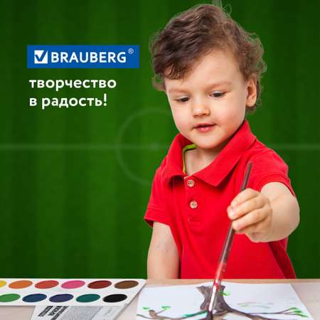 Краски акварель Brauberg 12 цв.