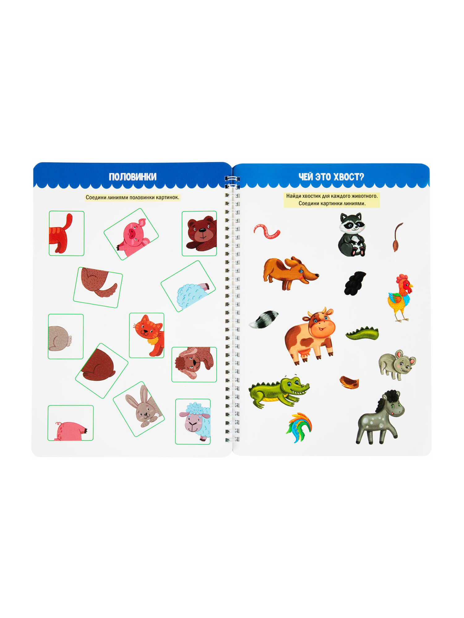 Общая тетрадь Prof-Press клетка - фото 15