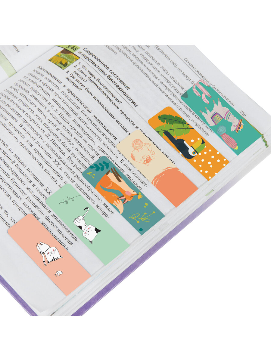 Магнитная закладка Brauberg - фото 7