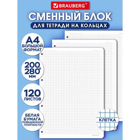 Тетрадь со сменным блоком Brauberg клетка 120 лист.