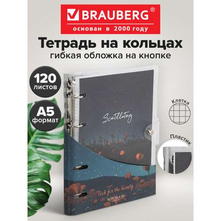 Тетрадь со сменным блоком Brauberg клетка 120 лист.
