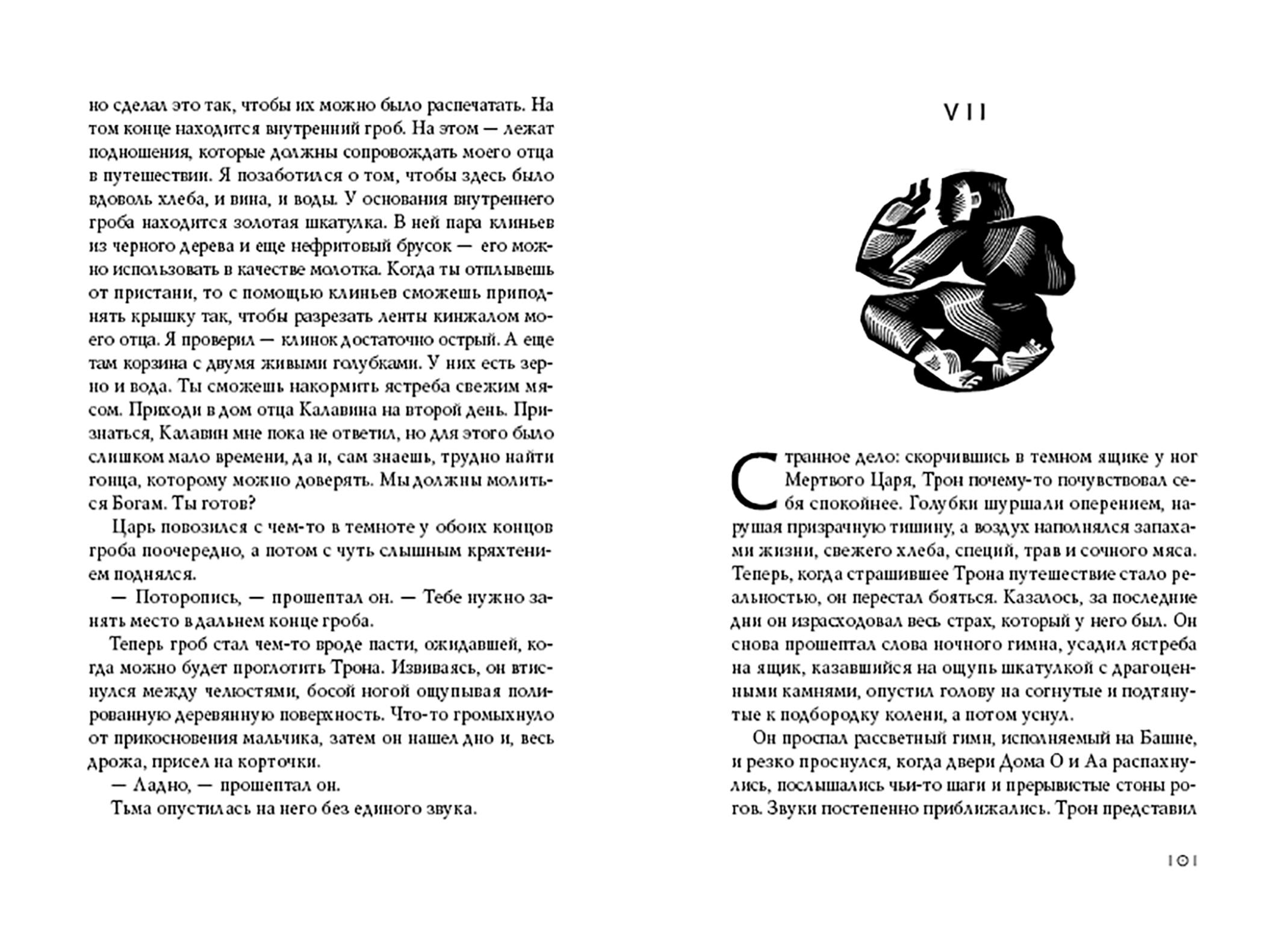 Книга Волчок Голубой Ястреб - фото 6