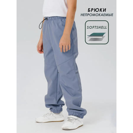 Брюки Lemonwear