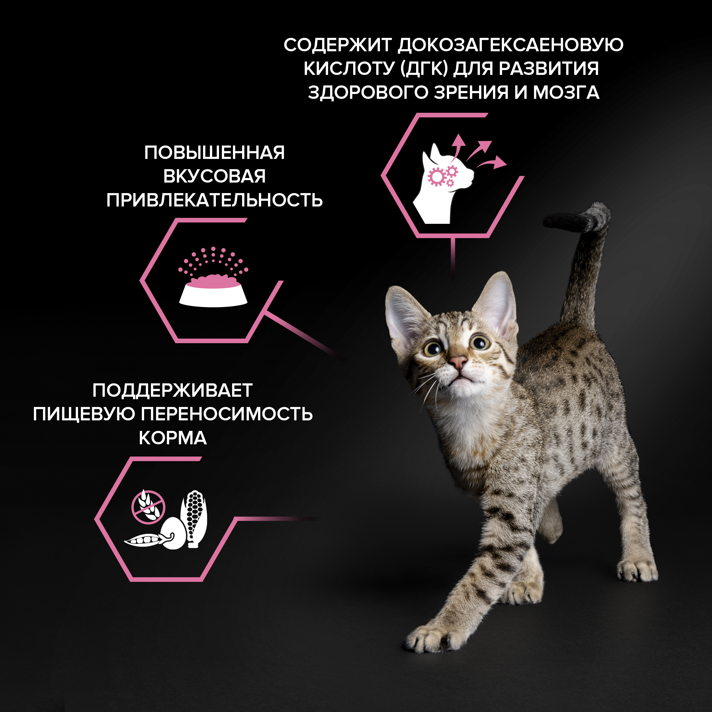 Корм сухой для котят PRO PLAN DELICATE DIGESTION 3 кг с индейкой - фото 3