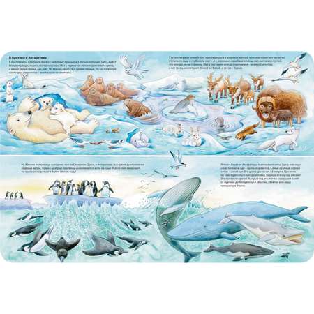 Книга ЭНАС-книга Мир животных