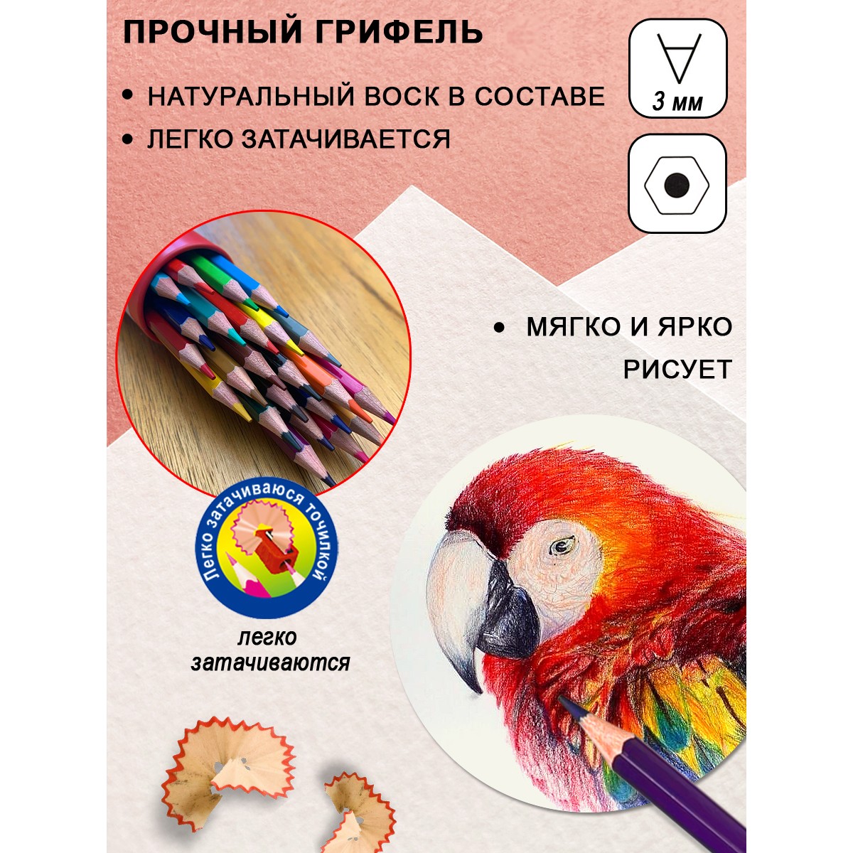 Карандаши цветные ACMELIAE 24 шт. - фото 6