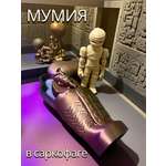 Фигурка Мадагаскария Мумия в саркофаге