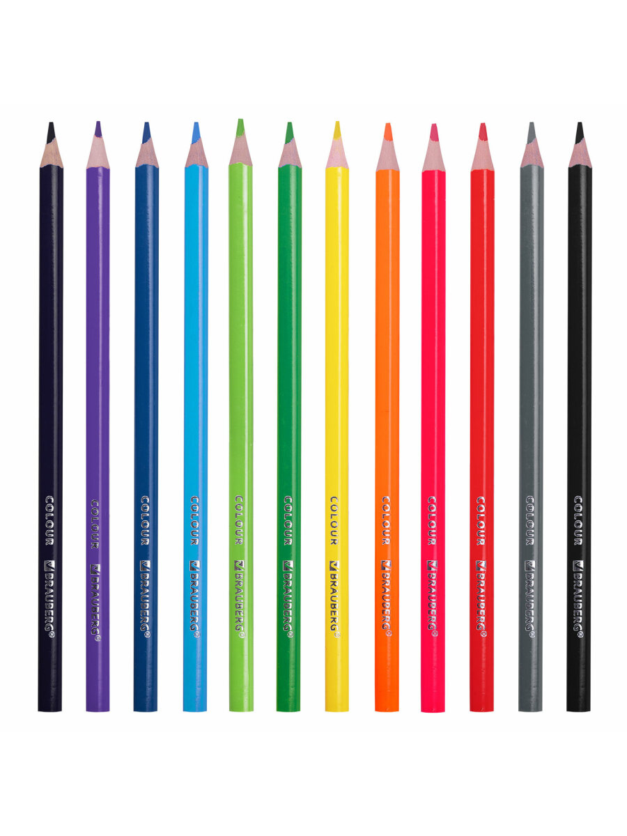 Карандаши цветные Brauberg 12 шт. - фото 10