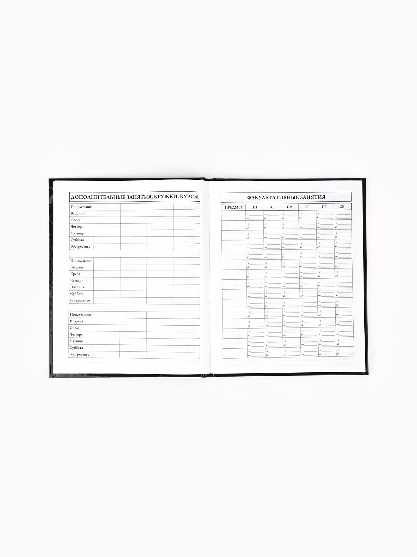 Дневник ArtFox STUDY школьный для 1-4 класса - фото 4