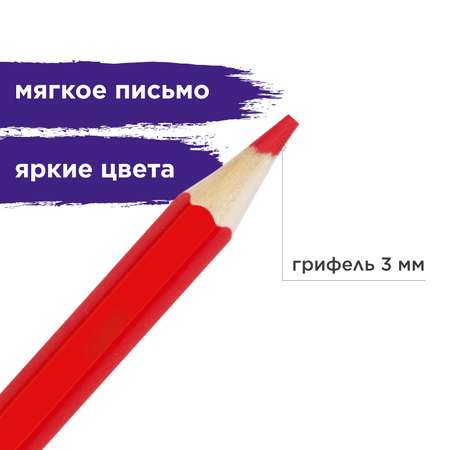 Карандаши акварельные Brauberg 12 шт.