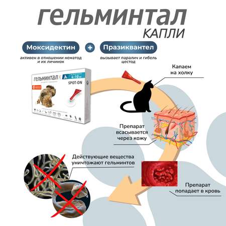 Капли для кошек Гельминтал 4-10кг Spot-on от внутренних паразитов 1мл