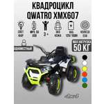 Квадроцикл TOYLAND Qwatro 4х4 ХМХ607, колеса EVA С пультом ДУ