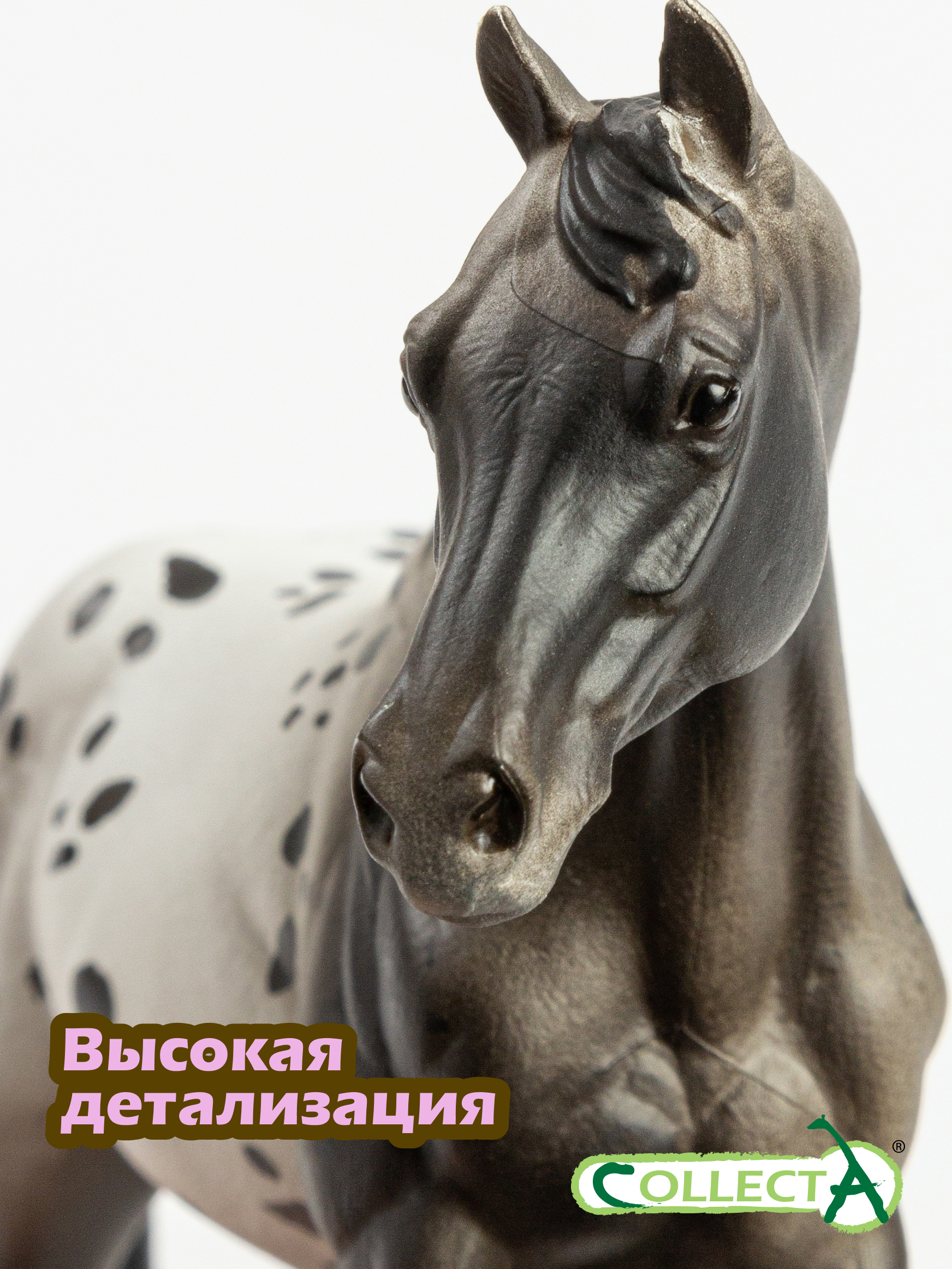Фигурка Collecta Лошадь Аппалузский голубой - фото 3