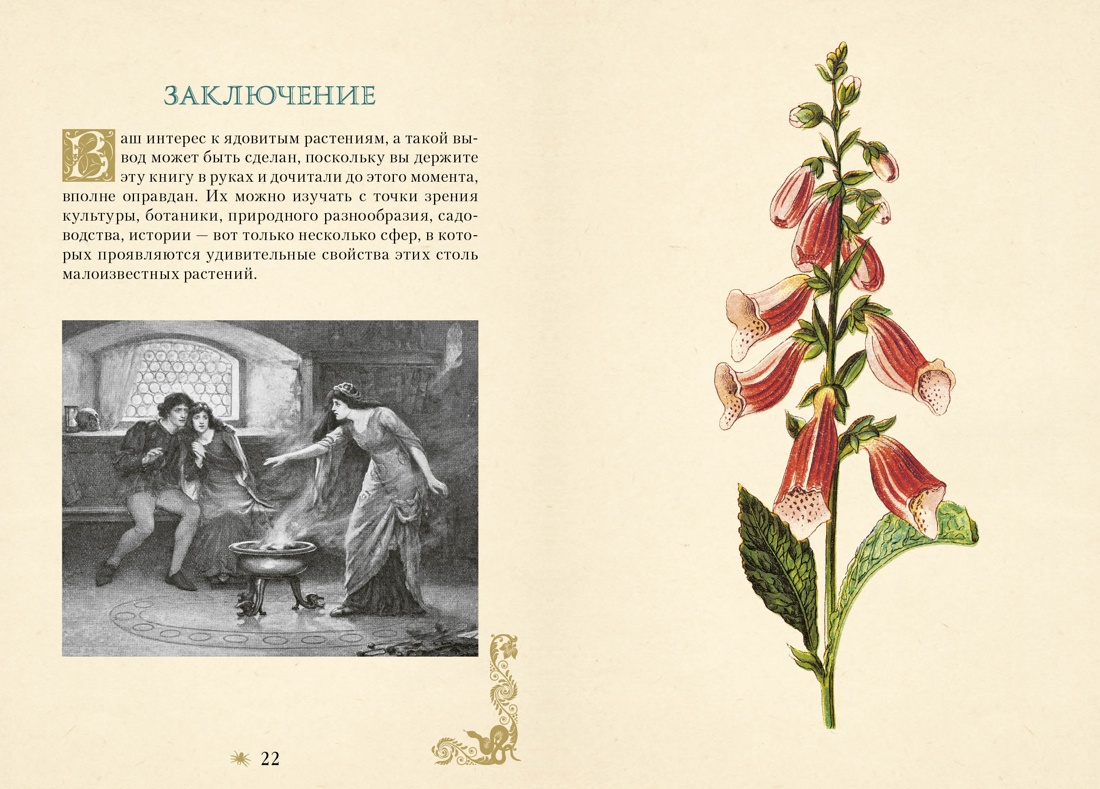 Книга КОЛИБРИ Магическое Средневековье. Лаис Э. Яды. Секретная сила растений - фото 8