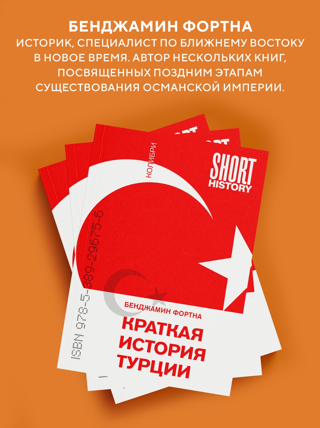 Книга КОЛИБРИ КоЛибри Short History Фортна Б Краткая история Турции покет - фото 8