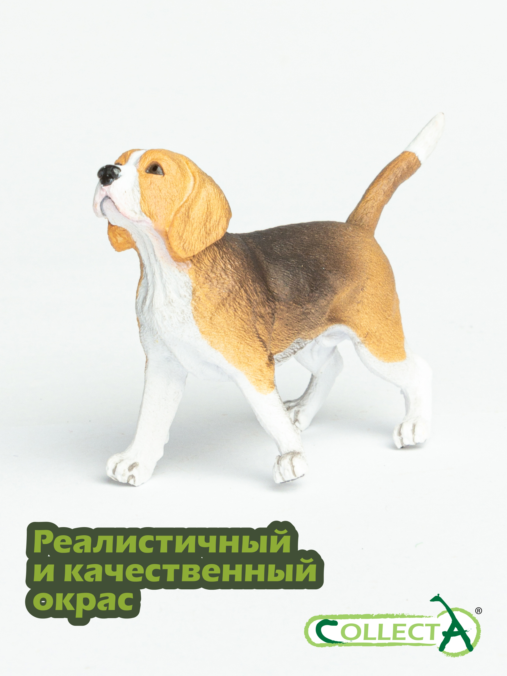 Фигурка Collecta Собака Бигль - фото 4