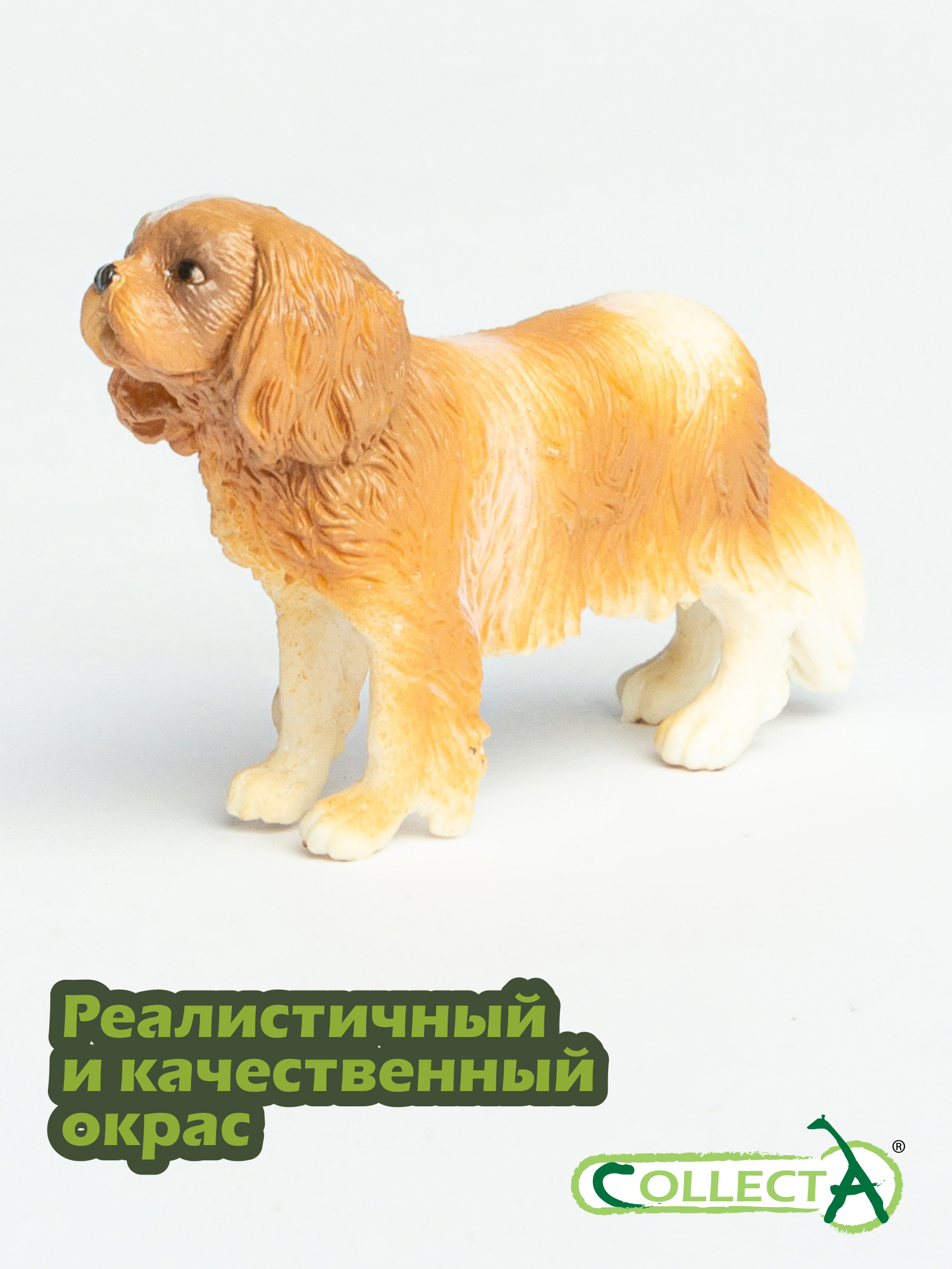 Фигурка Collecta Собака Кинг Чарльз спаниель - фото 4